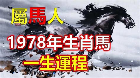 1978年屬馬運勢|【1978 五行】1978生肖屬馬：五行運勢全解析！